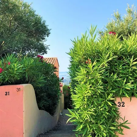 Beautiful Gulf Of St Tropez Mazet With Large Terrace, Private Area דירה
